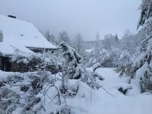 a yard covered in snow next to a house at Chalupa Krompach in Krompach
