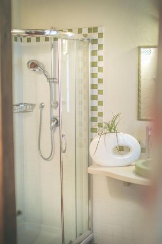 a bathroom with a shower and a sink at Agriturismo Selvella in Radicofani