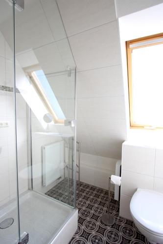 Un baño de Boddensegler