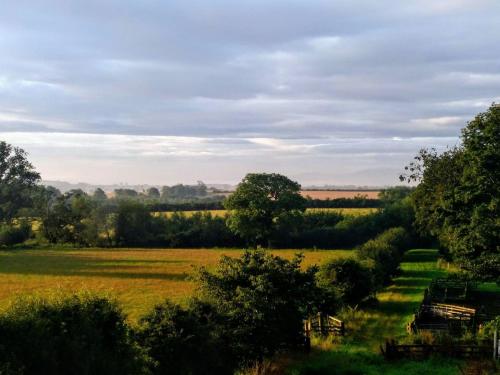 a view of a field with trees and grass at Bastle Retreats Farm Cottage in Duns