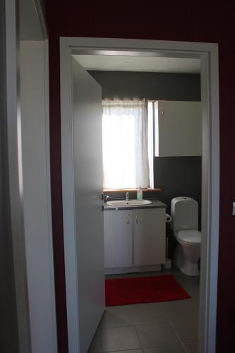 ソイザウルクロウクルにあるIcelandhorsetours - Hellulandのギャラリーの写真