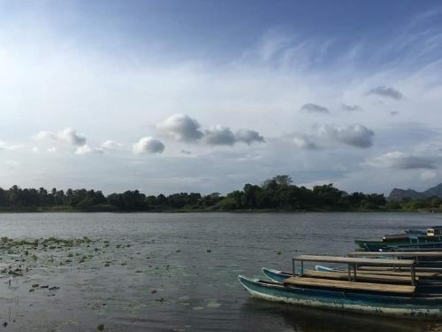 a group of boats sitting on the water at Grand freedom in Sigiriya