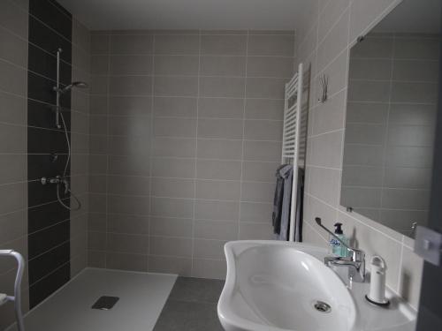 a bathroom with a white sink and a shower at Au Chant du Riou in Saint-Michel-de-Chaillol