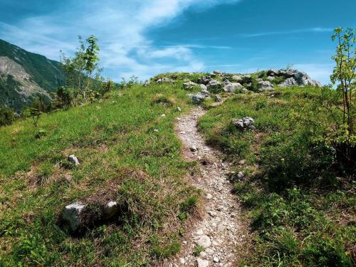 a dirt trail on a grassy hill with a blue sky at Hotel Unterwirt in Reit im Winkl