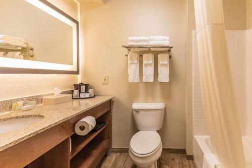a bathroom with a toilet and a sink and a mirror at Coshocton Village Inn & Suites in Coshocton