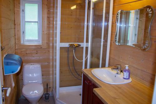 a bathroom with a toilet and a sink and a shower at Gudvangen Camping in Gudvangen