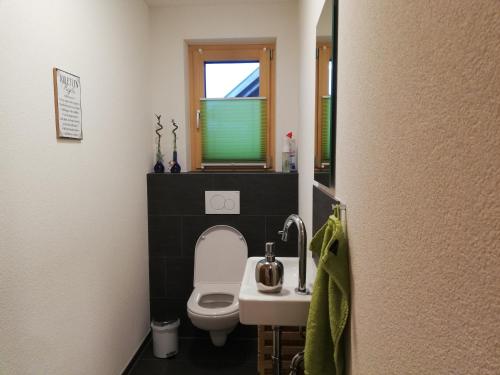 baño con aseo y lavabo y ventana en Ausblickhof Geiger, en Egg