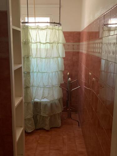 a shower with a curtain in a bathroom at Greenway Manor in Bisbee
