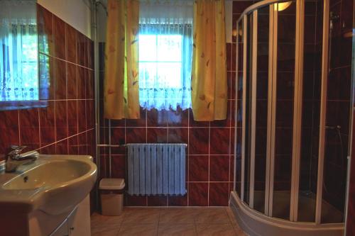 a bathroom with a sink and a glass shower at Dom u Małgosi in Witów