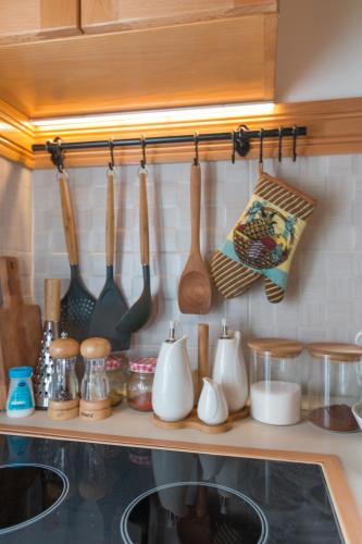 Cuisine ou kitchenette dans l'établissement Mountain house Popović Tara