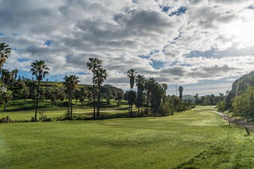 a group of palm trees on a golf course at Real del Mar Golf Resort in Tijuana