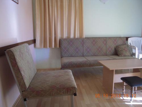a living room with a couch and a table at Lile Pestani Accommodation in Peštani