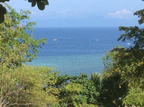 a view of the ocean from behind some trees at Cuestas Beach Resort and Restaurant in Badian