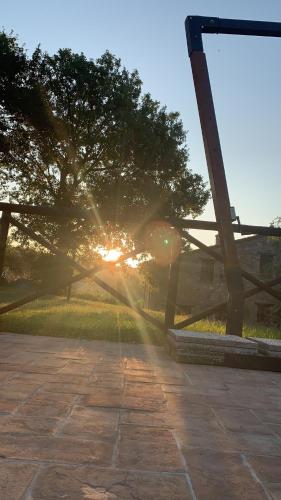 a sunset in a park with the sun shining through trees at Azienda Agrituristica I Tre Casali in Magione