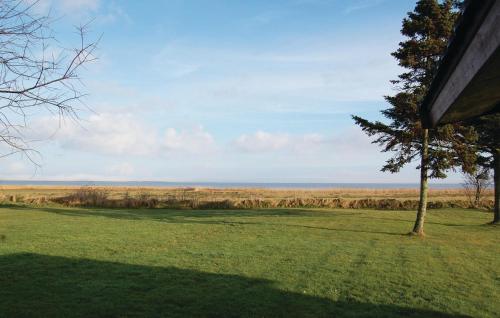 un árbol en medio de un campo de hierba en One-Bedroom Holiday Home Rømø With Sea View 01, en Bolilmark