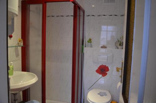 La salle de bains est pourvue d'une douche, de toilettes et d'un lavabo. dans l'établissement Ferieneinrichtungen Haus am Stein, à Königstein