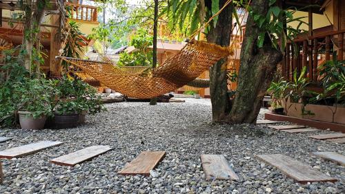 Ein Garten an der Unterkunft Roy's Rendezvous Boracay