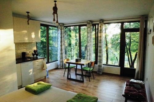 a room with a kitchen and a table and some windows at Donkey Farm Martinici - Farma magaraca Martinici in Danilovgrad