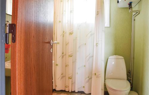 KlegodにあるStunning Home In Ringkbing With 3 Bedroomsのバスルーム(トイレ、シャワーカーテン付)