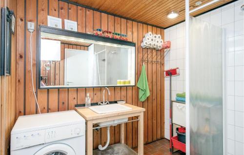OddeにあるStunning Home In Hadsund With Kitchenのバスルーム(シンク、洗濯機付)