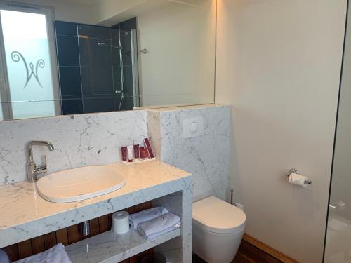 a bathroom with a sink and a toilet and a mirror at Les chambres du Waterzooi in Dunkerque