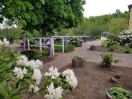 a garden with white flowers and a white fence at Der Quellenhof in Helmstedt