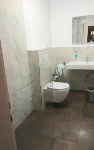 a bathroom with a sink and a toilet and a mirror at Der Quellenhof in Helmstedt