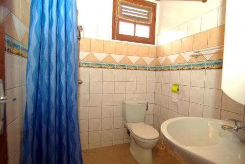 uma casa de banho com um WC, um lavatório e uma cortina de chuveiro azul. em Chez Rosy em Le Robert