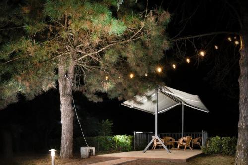 a white tent and chairs under a tree at night at Belegis Villa in Stari Banovci