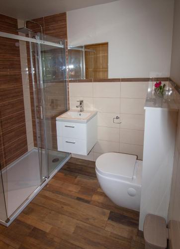a bathroom with a toilet and a shower and a sink at Bieszczadzka Zatoka in Zawóz