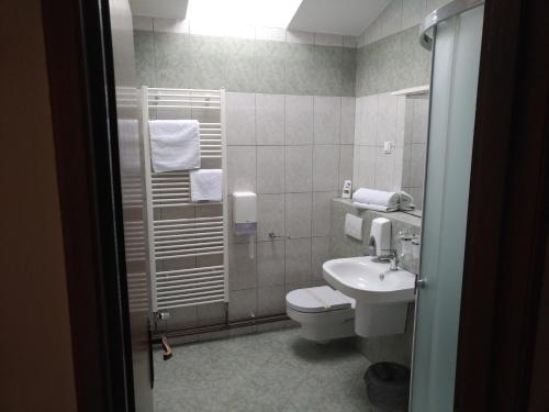 łazienka z toaletą i umywalką w obiekcie Pansion Ribnjak w mieście Našice