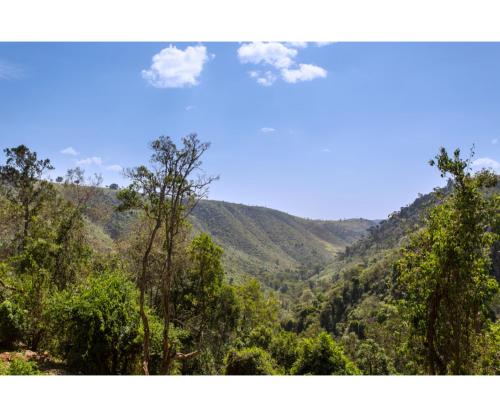 a view of the mountains from the forest at Thomsons Falls Lodge in Nyahururu