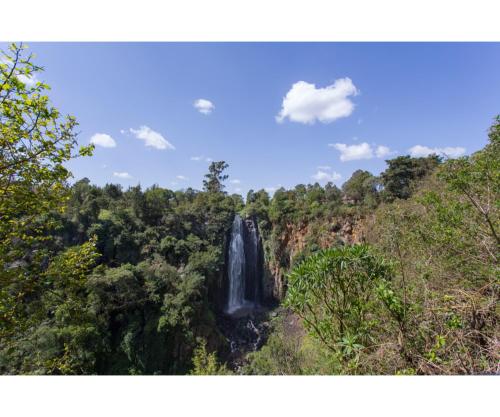 a waterfall in the middle of a forest at Thomsons Falls Lodge in Nyahururu