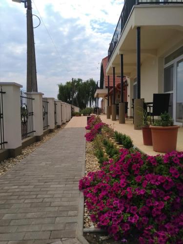 a walkway next to a building with purple flowers at St. Hubert Vendégház in Hortobágy