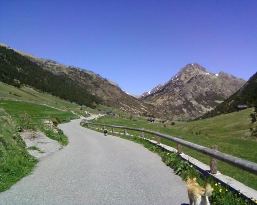  Roc Apartment -  Room  picture :   Shower    TV    Hairdryer                           