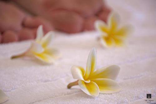 three yellow and white flowers on a towel at Villa Perpetua in Bandarawela