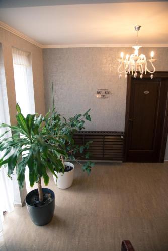 a room with two potted plants and a chandelier at Hotel Stefani in Sibiu