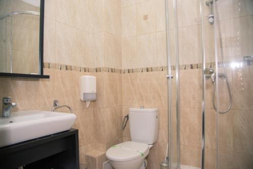 a bathroom with a shower and a toilet and a sink at Hotel Stefani in Sibiu