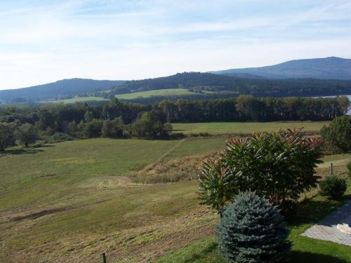a view of a field with mountains in the background at Penzion Panter in Horní Planá