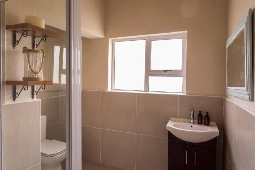 a bathroom with a sink and a toilet and a window at Stoneyvale Cottages in Grahamstown