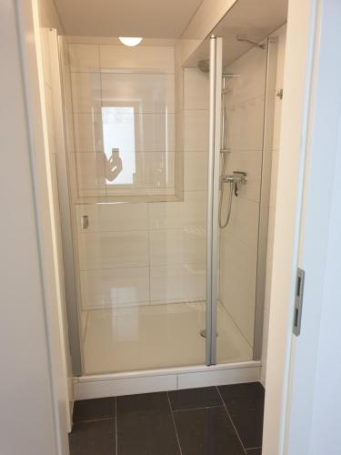 a shower with a glass door in a bathroom at Studioapartment L46 - in exklusiver Innenstadtlage in Potsdam