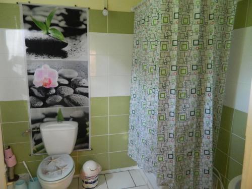 uma casa de banho com um WC e uma cortina de chuveiro em Maison de la plage em Trois-Rivières