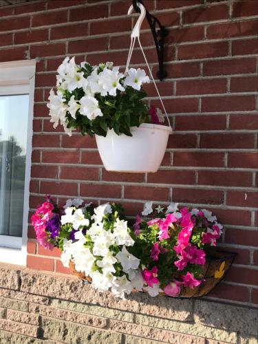 a flower basket hanging on a brick wall with flowers at Trunk Road Motel in Sault Ste. Marie