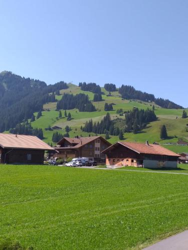 a green field with houses and a mountain at Chalet Aloa in Adelboden
