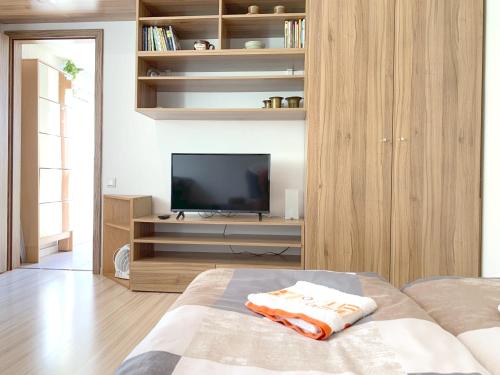 een woonkamer met een bed en een televisie bij Krásný apartmán u lesa blízko centra a BVV in Brno