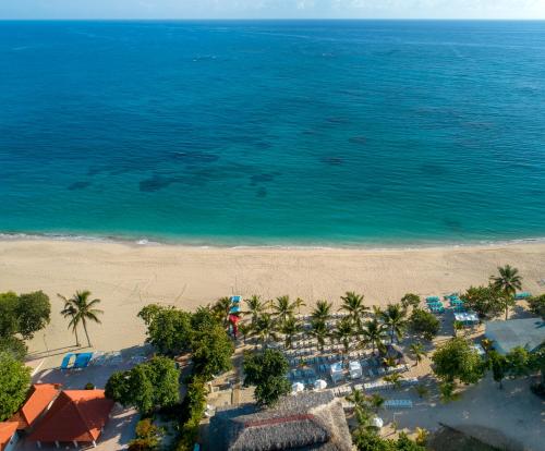 a beach with palm trees and palm trees at Viva Wyndham V Heavens, All Inclusive Resort in San Felipe de Puerto Plata