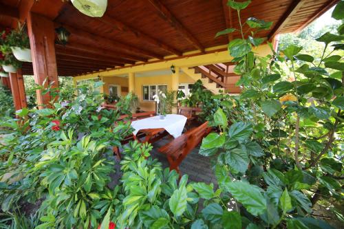 a patio with a white table and some plants at Pensiunea Criveanu in Horezu