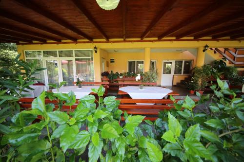 a patio with a table and some green plants at Pensiunea Criveanu in Horezu