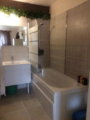 a bathroom with a bath tub and a sink at Villa Nature 02 in Meunet-sur-Vatan