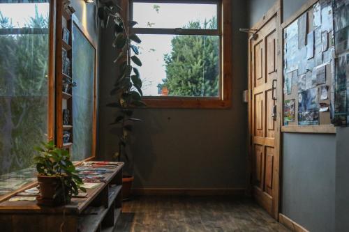 a hallway with a window and a table with a plant at Hostal Esquina Patagónica in Coihaique